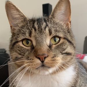 Meet your Posher, Laurie